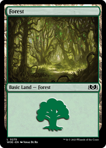 Forest (0275)