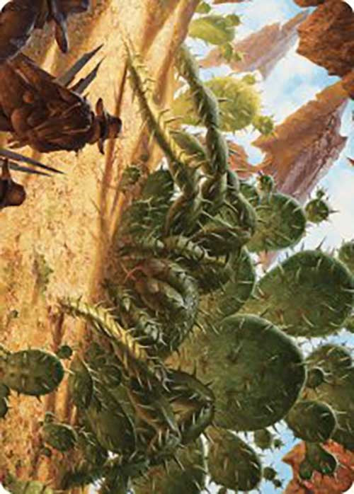 Cactarantula Art Card
